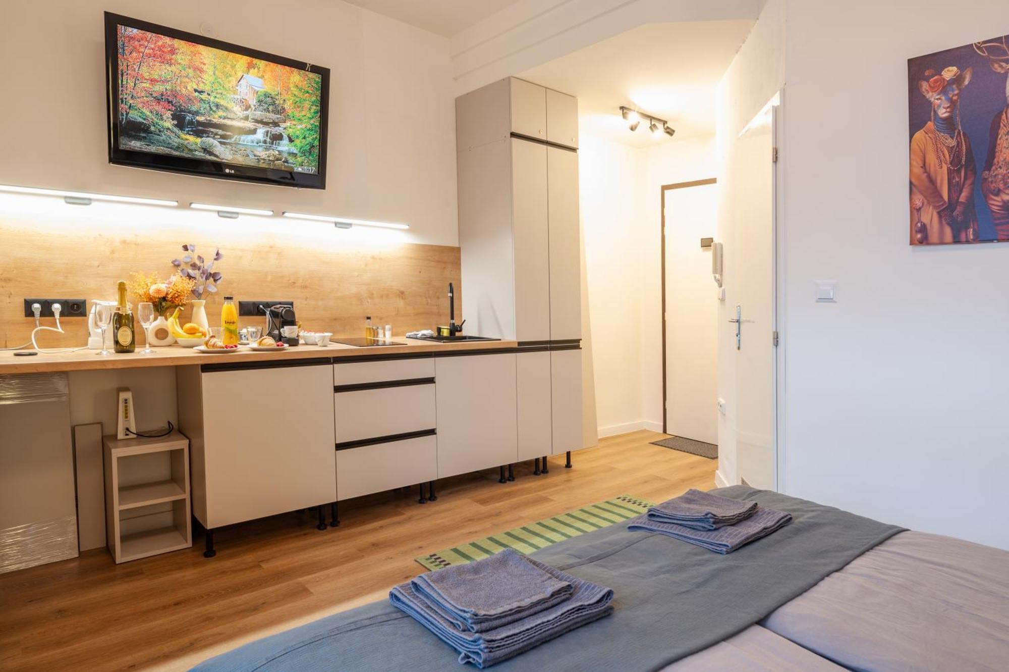 Modern Apartment In Historic City Center Old Town Bratislava Dış mekan fotoğraf